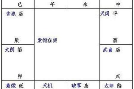 紫薇斗数斗君的意义