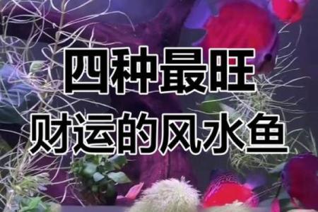 旺事业财运风水，不看后悔一年
