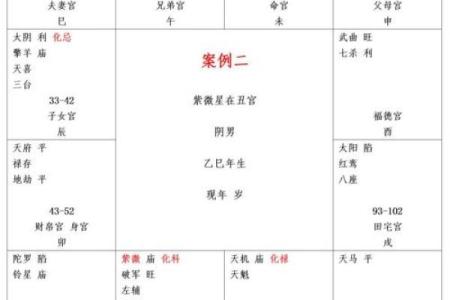 紫微斗数的星座的运势 紫微斗数运势准吗？