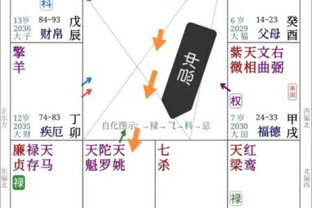 紫微斗数之事业宫与诸星，紫微星在事业宫是什么意思？
