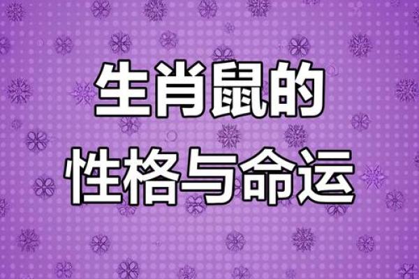 属鼠O血型的人性格与事业姻缘