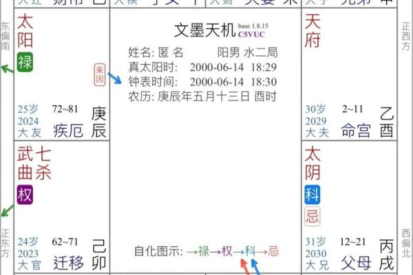 庄氏飞星派紫微斗数 庄氏飞星派紫微斗数入门票 初阶篇 中？