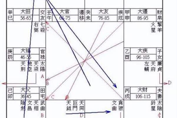 庄氏飞星派紫微斗数 庄氏飞星派紫微斗数入门票 初阶篇 中？