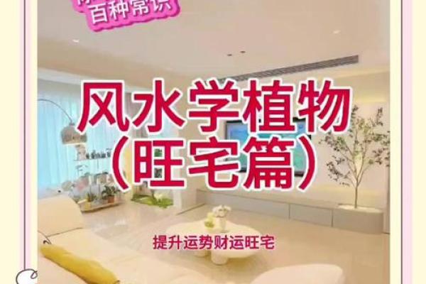 旺运风水局，如何使用植物布局