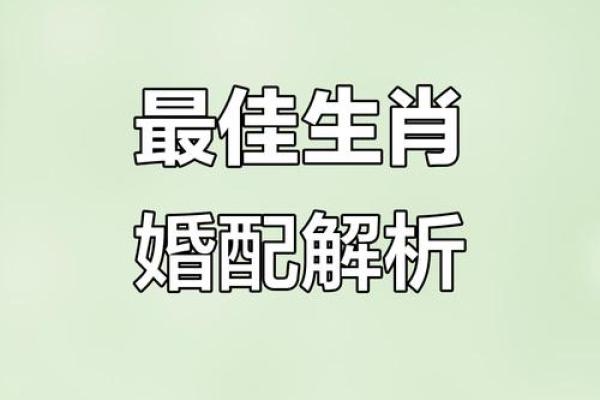 老虎生肖配对大揭秘，你知道哪些？