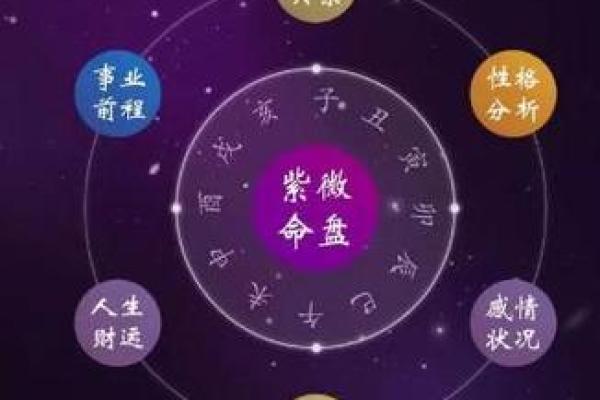 紫微斗数弱智 紫微斗数看智力？