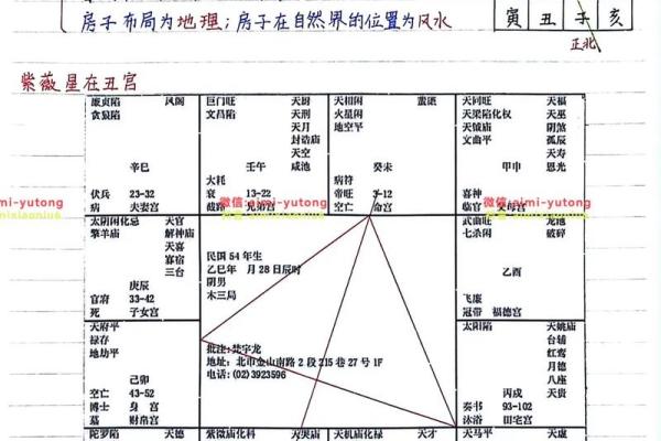 八字紫微星是什么意思