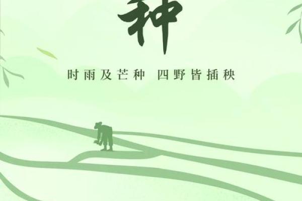 2024年芒种的财神方位在哪？芒种节气的三个物候现象