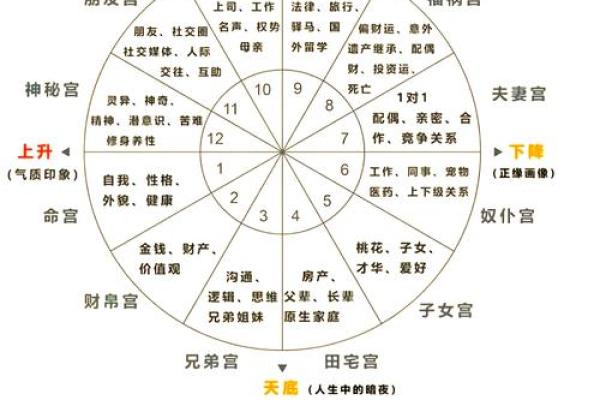 八字和星盘的准确度比较