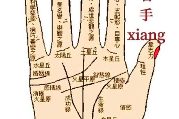 手指算命,手指掐算算命图解