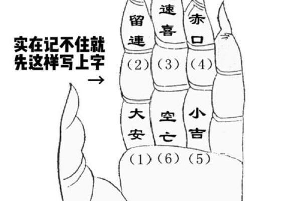 手指算命,手指掐算算命图解