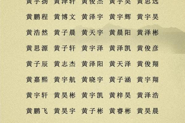 2019年5月24号子时出生的男孩起名方法姓名