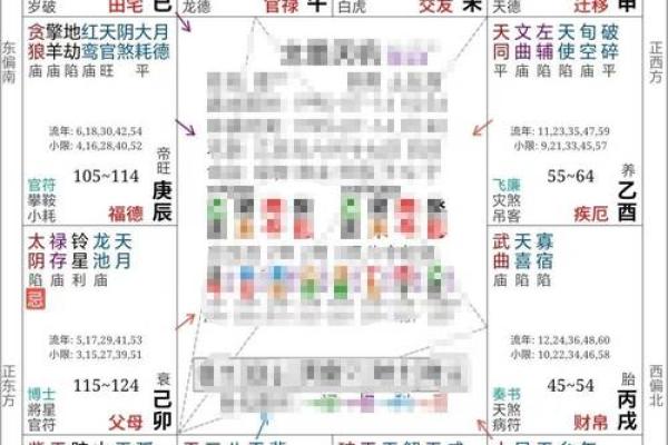 紫薇斗数内局