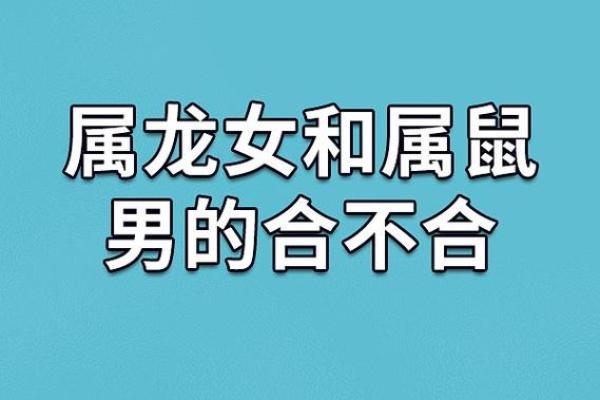 属鼠和属龙配对合适吗-