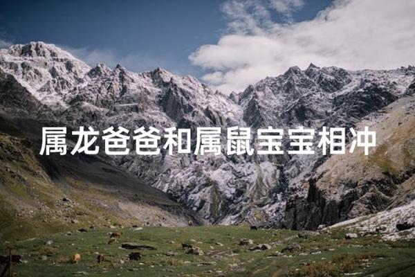 属鼠和属龙配对合适吗-