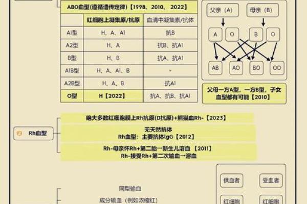 四种血型的优缺点 四血型优缺点何在