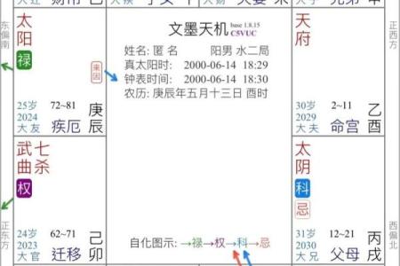 庄氏飞星派紫微斗数 庄氏飞星派紫微斗数入门票 初阶篇 中？