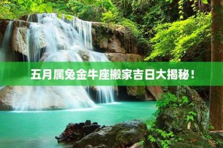 2024年农历十二月属兔人搬家吉日推荐