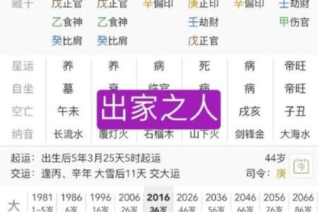 人中龙凤的八字格局