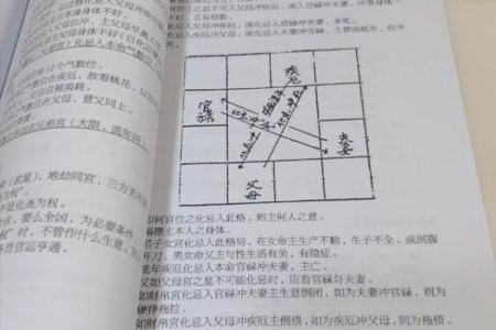 紫薇斗数全书简体