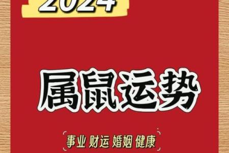 240812_今年下半年生肖属鼠的运势三 #八字