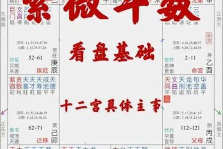 紫微斗数如何从子女宫看儿女运势