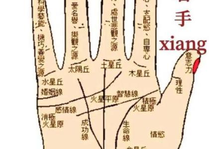 手指算命,手指掐算算命图解