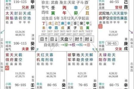 紫薇斗数子女流小