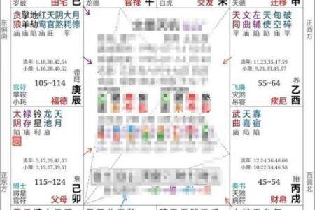 紫薇斗数内局