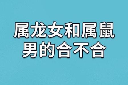 属鼠和属龙配对合适吗-