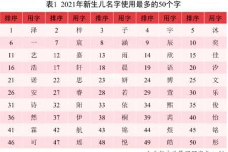 属猪辛时出生的男孩如何起名，宜用什么字姓名