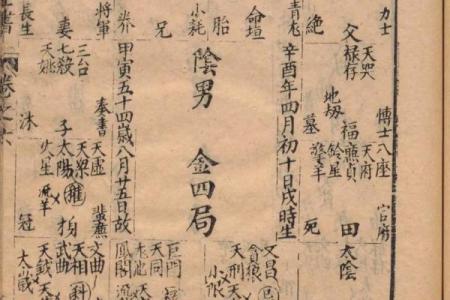 紫薇斗数古籍研究
