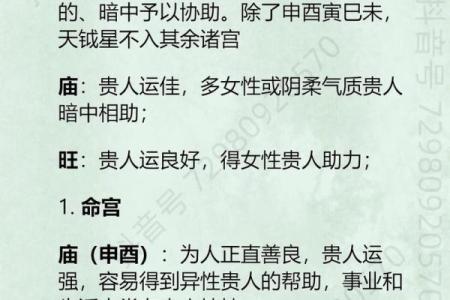 紫微斗数诸星落诸宫之：天府星官禄宫详解