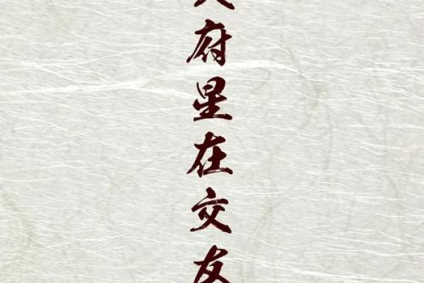 紫微斗数之交友宫与诸星，太阴星在交友宫是什么意思？