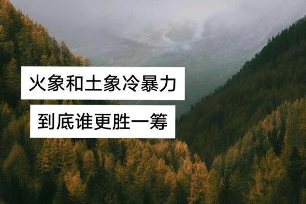 土象星座都喜欢冷暴力吗