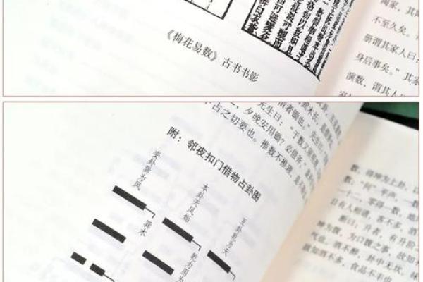紫薇斗数入门梅花