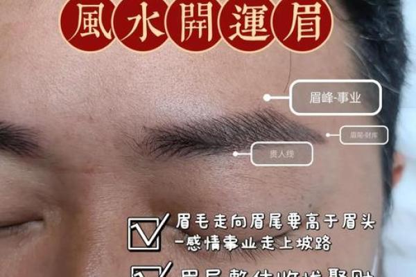 风水面相哪三种眉毛男人最好命