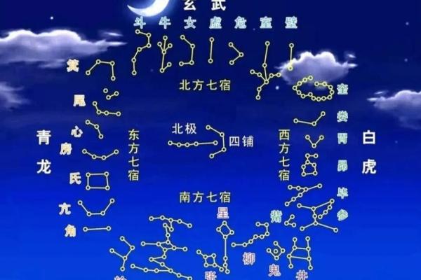 紫薇斗数医生