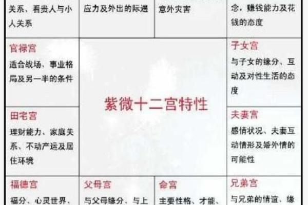 紫薇斗数排盘易安