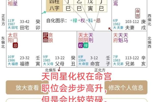 紫薇斗数怎么看一个人适合学周易