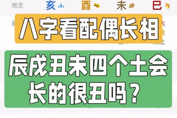 八字丑中含