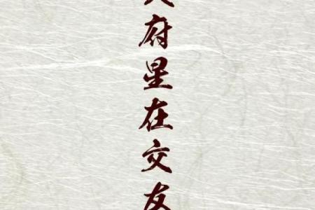 紫微斗数之交友宫与诸星，太阴星在交友宫是什么意思？
