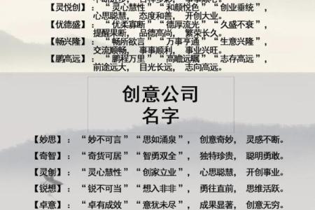 网络公司名字大全-名字大全姓名