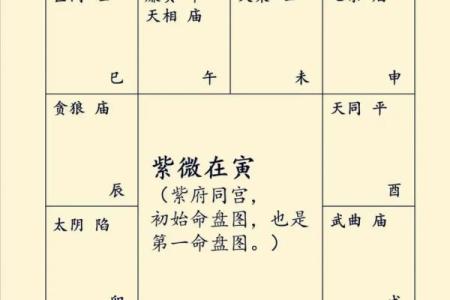 紫薇斗数看学业考试