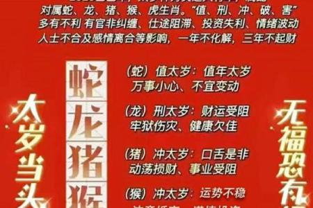 算命婚姻树年