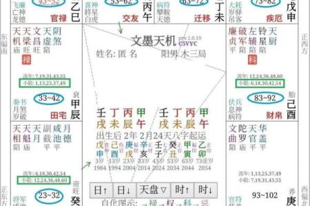 紫薇星盘怎么排