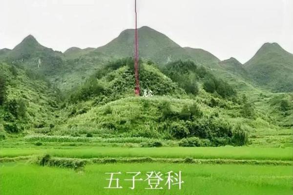 阴宅风水师不为卜葬的十种人
