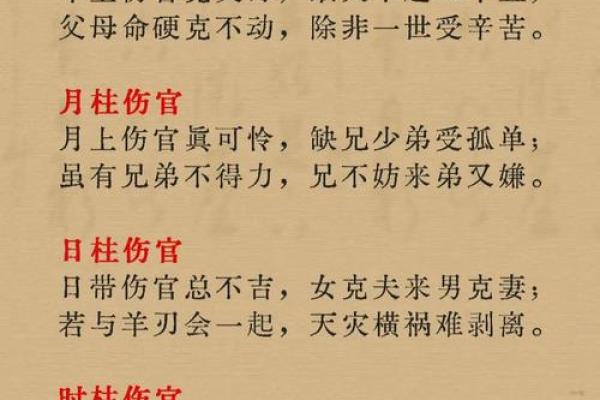 伤官八字