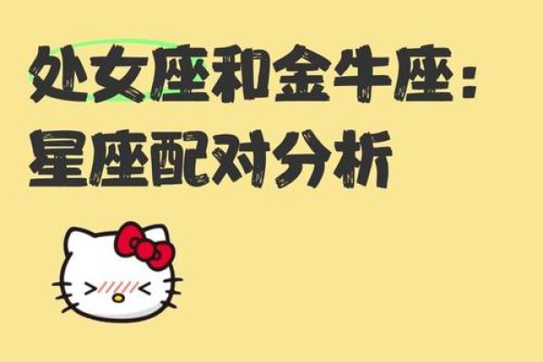 处女座最配星座第二名：金牛座