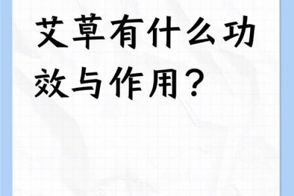 为什么艾草不能送人有什么风水说法